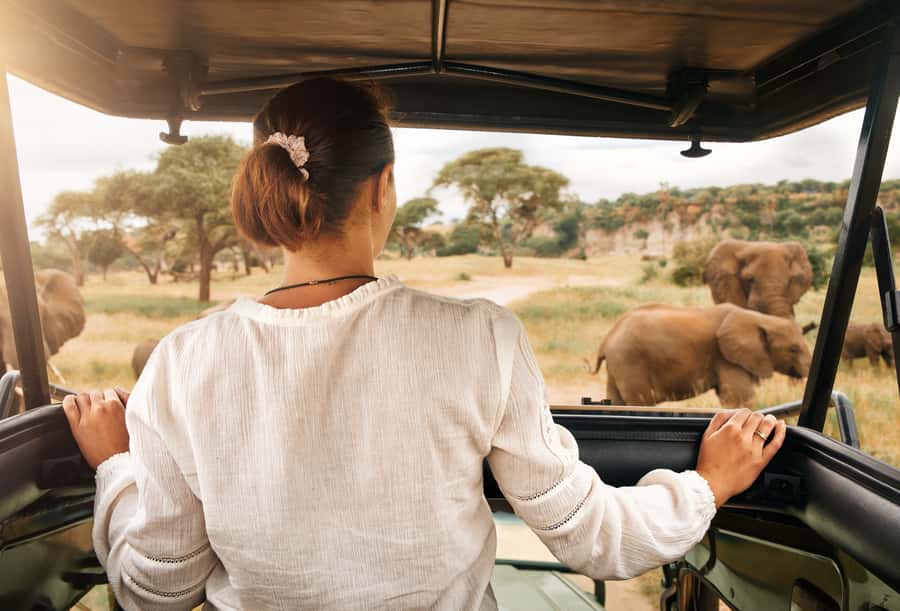 From Johannesburg: Pilanesberg Wildlife Safari - Is $263 good value for a full day?