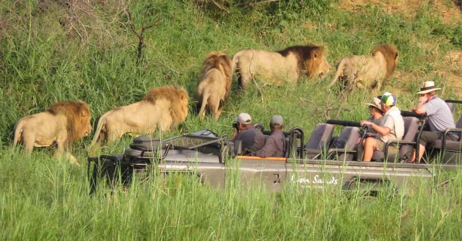 From Kasane: Chobe National Park Full Day Wildlife Safari - The Chobe River cruise