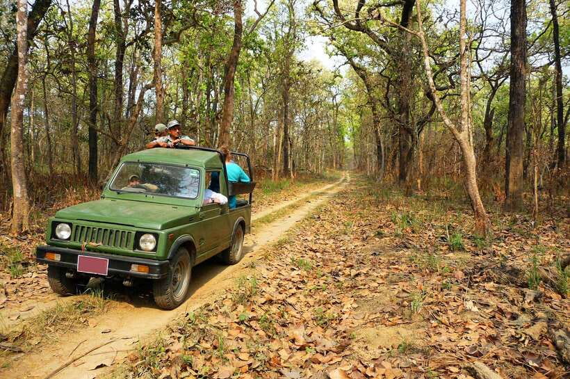 From Kathmandu/Pokhara: 2, 3, or 4-Day Chitwan Jungle Safari - Key points to know before booking