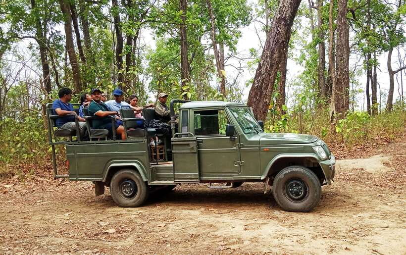 From Kathmandu/Pokhara: 2, 3, or 4-Day Chitwan Jungle Safari - First afternoon: Tharu village, sunset, and dinner