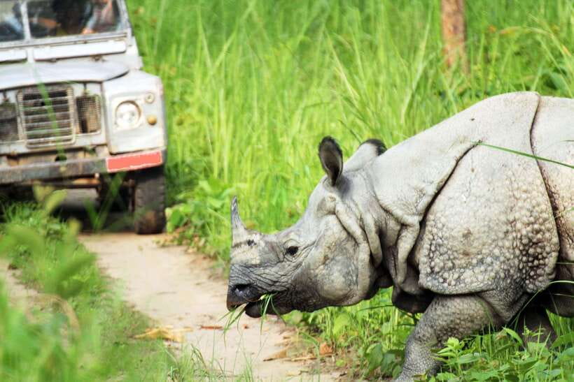 From Kathmandu/Pokhara: 2, 3, or 4-Day Chitwan Jungle Safari - The jungle tower night on the 4-day plan