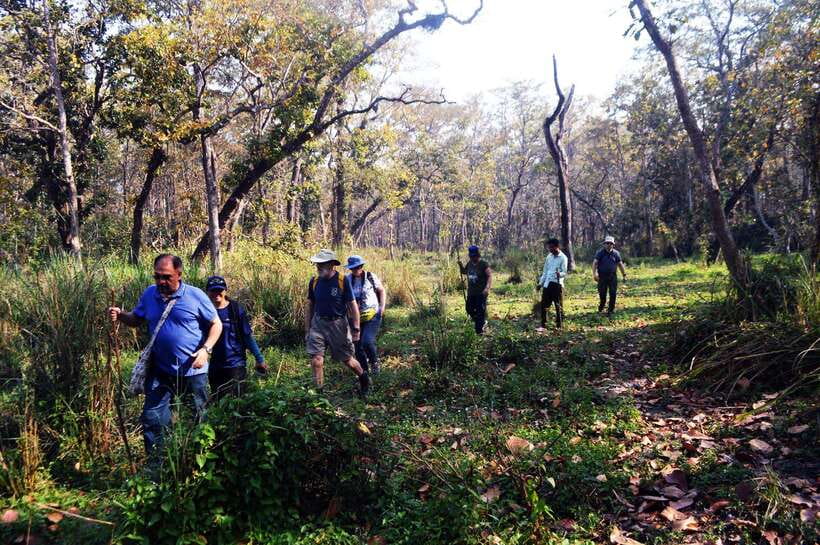 From Kathmandu/Pokhara: 2, 3, or 4-Day Chitwan Jungle Safari - Choosing between two, three, and four days