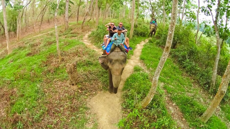 From Kathmandu/Pokhara: 3-Day All-Inclusive Chitwan Safari - The long road from Kathmandu or Pokhara