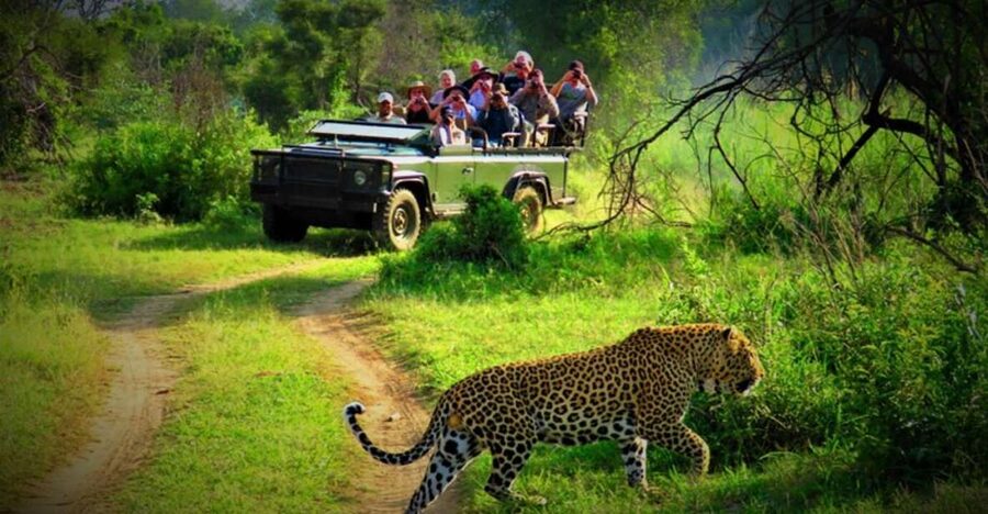 From Kathmandu/Pokhara: Private 3-Day Chitwan Safari Tour - Day one: bus transfer, Tharu culture, and a comfortable base
