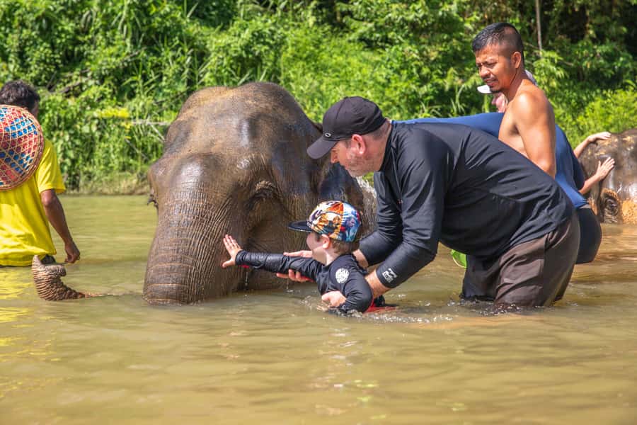 From Khao Lak: Day Trip to Khao Sok with Elephant Camp Visit - Leaving Khao Lak for Khao Sok