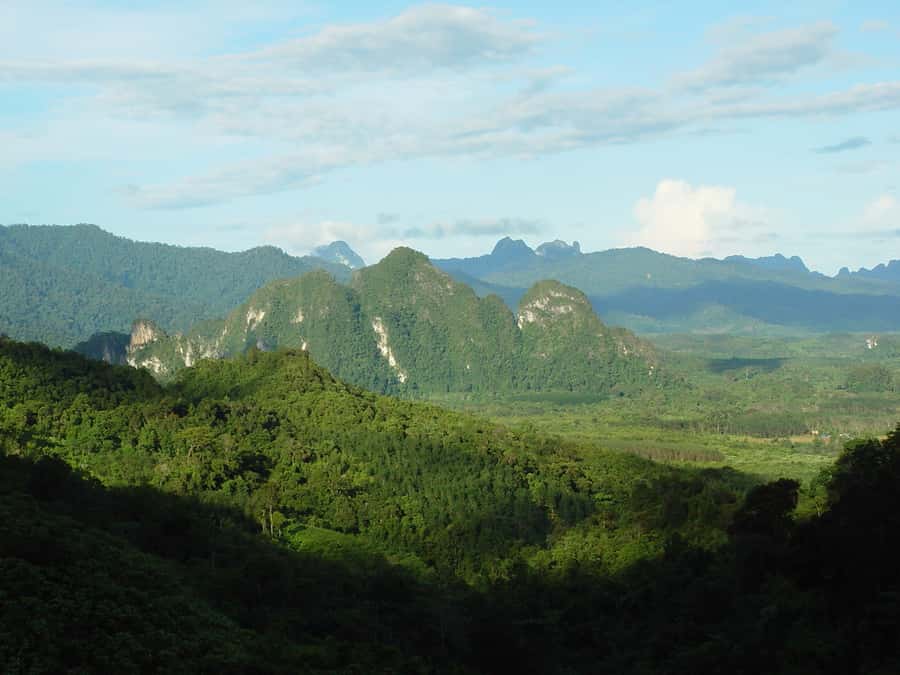 From Khao Lak: Day Trip to Khao Sok with Elephant Camp Visit - Wildlife watching without promises
