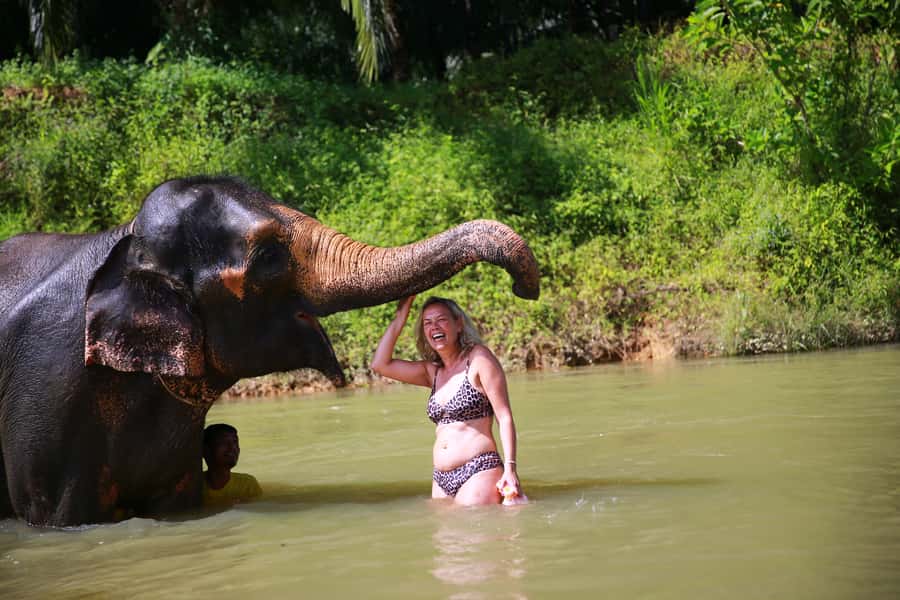 From Khao Lak: Day Trip to Khao Sok with Elephant Camp Visit - Thai food at a treehouse resort