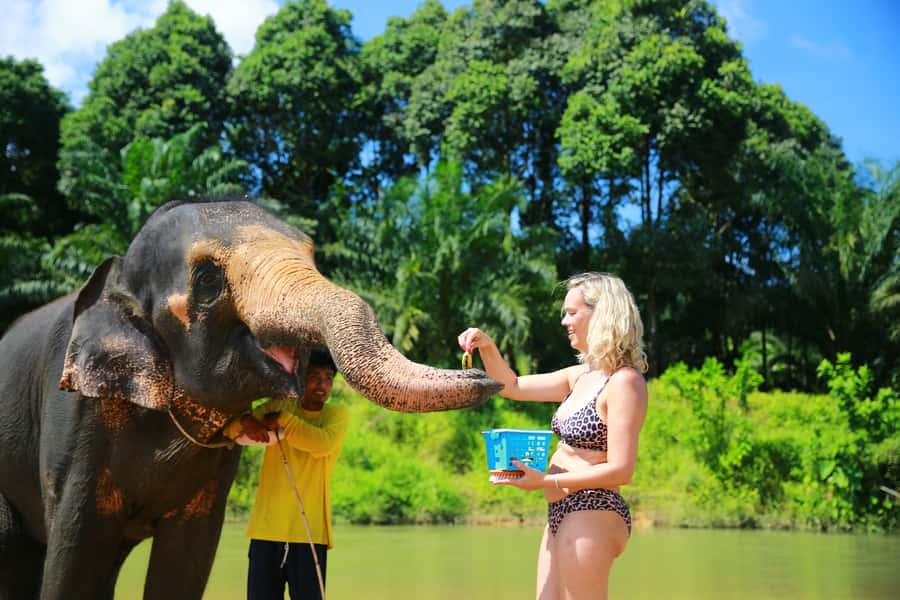 From Khao Lak: Day Trip to Khao Sok with Elephant Camp Visit - Should you book it?