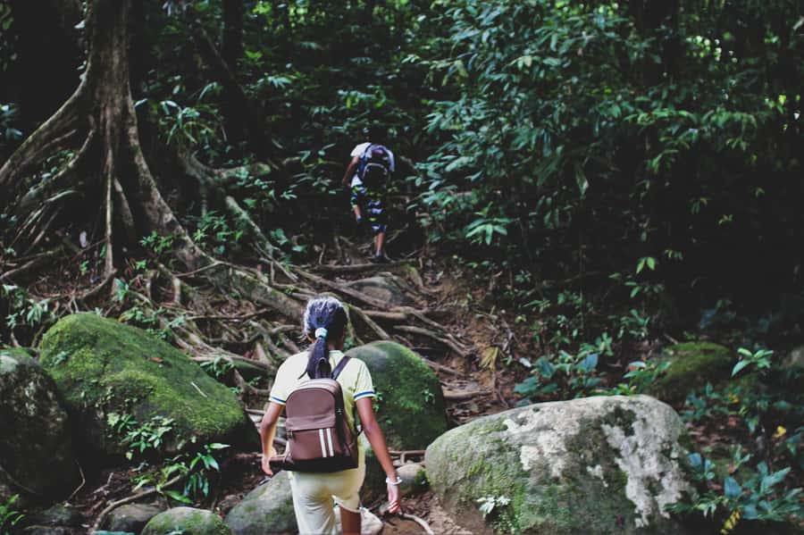 From Khao Lak: Khao Sok Jungle Hike & River Tour - Hiking roughly 5 to 6 kilometers through rainforest