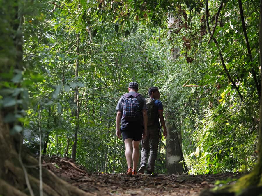 From Khao Lak: Khao Sok Jungle Hike & River Tour - Cooling off at the stream