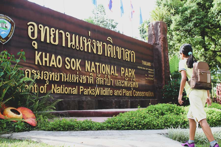 From Khao Lak: Khao Sok Jungle Hike & River Tour - A substantial Thai lunch after the walk