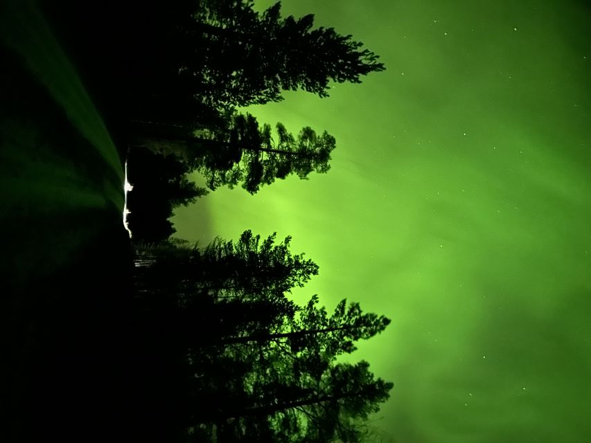 From Kiruna: Abisko National Park Northern Lights Tour - Who should book this Kiruna aurora tour