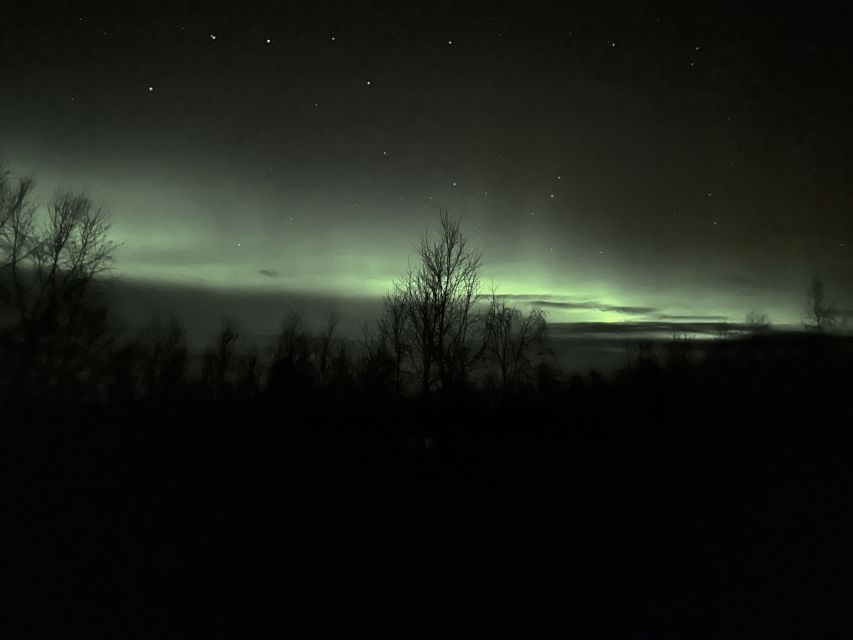 From Kiruna: Abisko National Park Northern Lights Tour - Photo help for phones and cameras