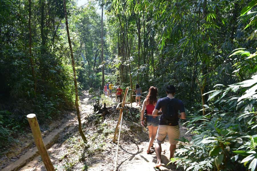 From Krabi: Cheow Lan Lake Cruise and Khao Sok Jungle Hike - The longtail boat cruise among limestone cliffs