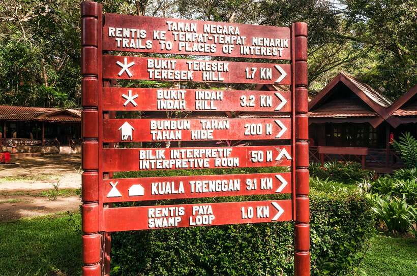 From Kuala Lumpur: Full-Day Taman Negara National Park - The canopy walkway closure changes the day