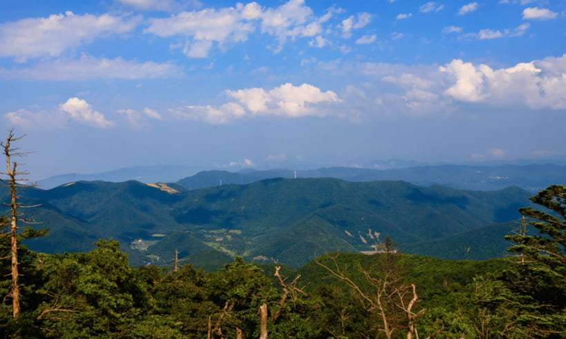 From Kuala Lumpur: Taman Negara National Park Private Tour - Packing for a wet and active day