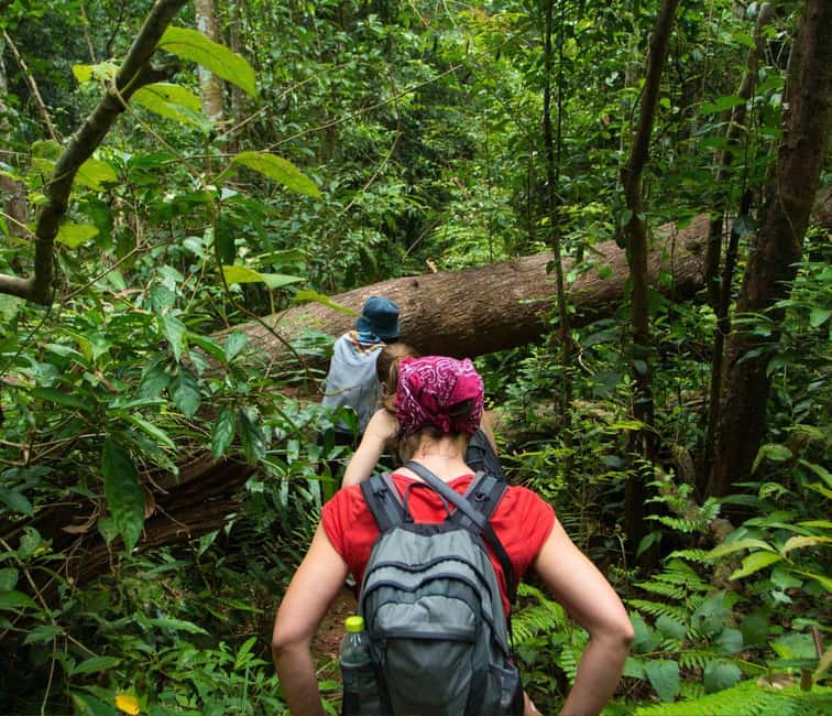 From Kuala Lumpur: Taman Negara National Park Private Tour - The long road from Kuala Lumpur