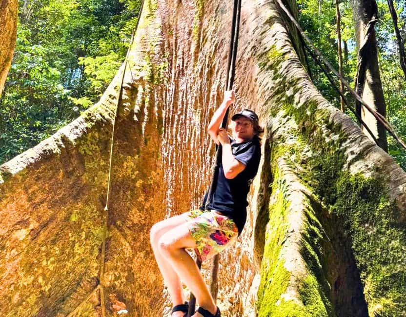 From Kuala Lumpur: Taman Negara National Park Private Tour - Walking below the rainforest canopy