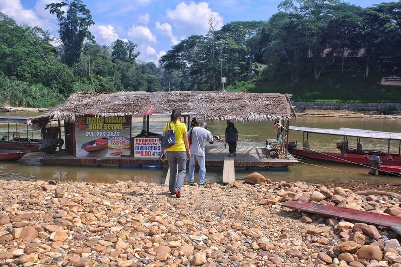 From Kuala Lumpur: Taman Negara National Park Trek Day Tour - The real shape of this Taman Negara day trip
