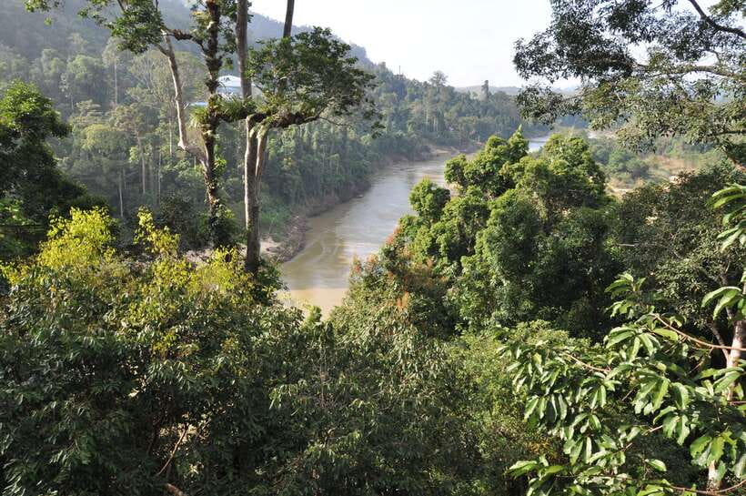 From Kuala Lumpur: Taman Negara National Park Trek Day Tour - Kuala Tahan and the first jungle steps
