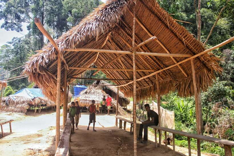 From Kuala Lumpur: Taman Negara National Park Trek Day Tour - Is $177 a fair price?