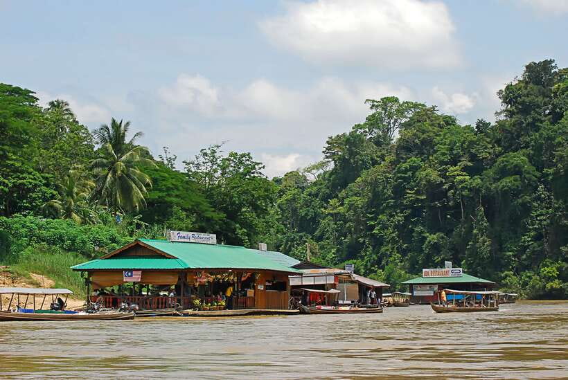 From Kuala Lumpur: Taman Negara National Park Trek Day Tour - What you may actually see in the forest