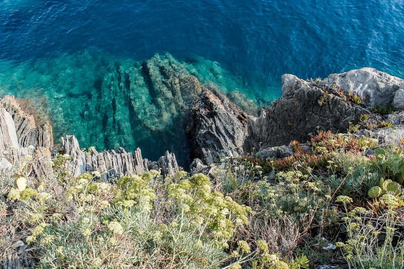 From La Spezia: Cinque Terre Boat Tour - Manarola, Corniglia, and Vernazza from the water