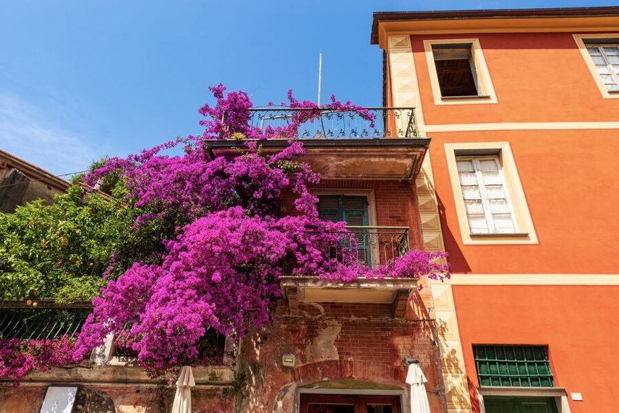 From La Spezia: Highlights of Cinque Terre with A Guide - Why this route works from La Spezia