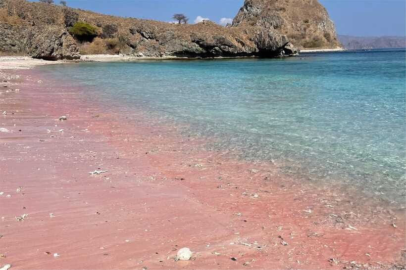 From Labuan Bajo: Komodo Dragons and Island Hop with All Fee - Who should book this Komodo route