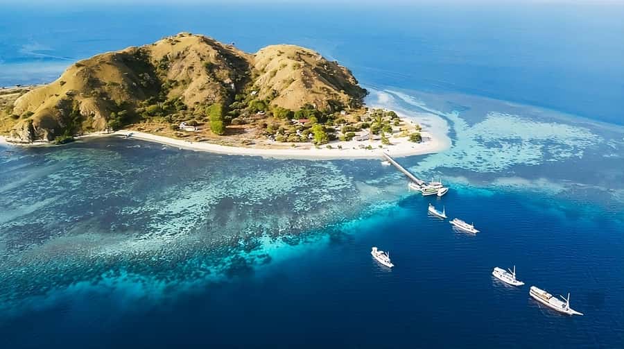 From Labuan Bajo: Komodo Island Day Tour with Snorkeling - Who should book it?