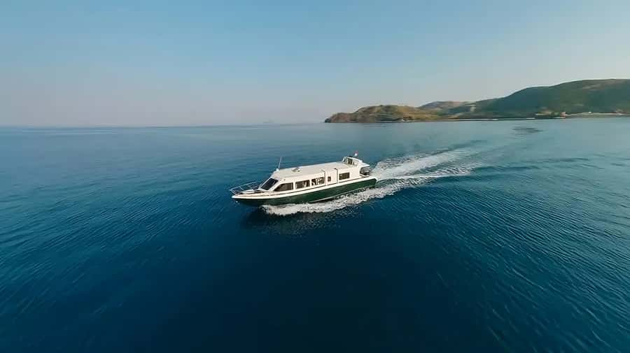 From Labuan Bajo: Komodo Island Day Tour with Snorkeling - How good is the $92 value?