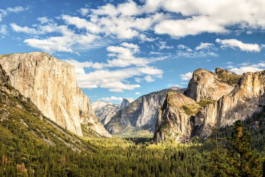 From Lake Tahoe: Yosemite National Park Day Trip with Lunch - The return trip and the O’Nelly Deli stop