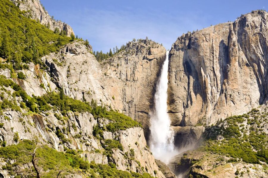 From Lake Tahoe: Yosemite National Park Day Trip with Lunch - Is $250 a fair price?