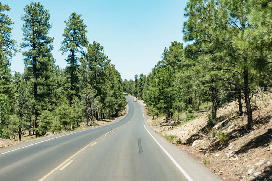 From Las Vegas: Grand Canyon South Rim Day Trip - What the $86 price really buys you