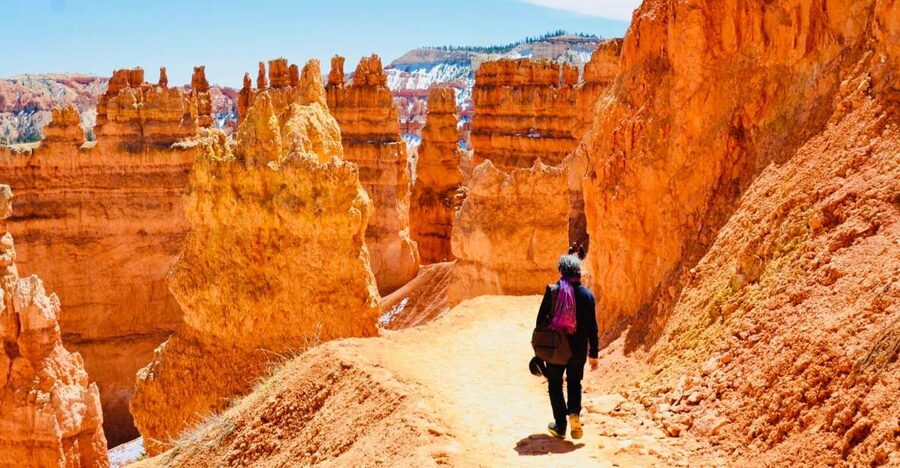 From Las Vegas: Zion and Bryce Canyon Day Trip with Pickup - Bryce Canyon and the hoodoos