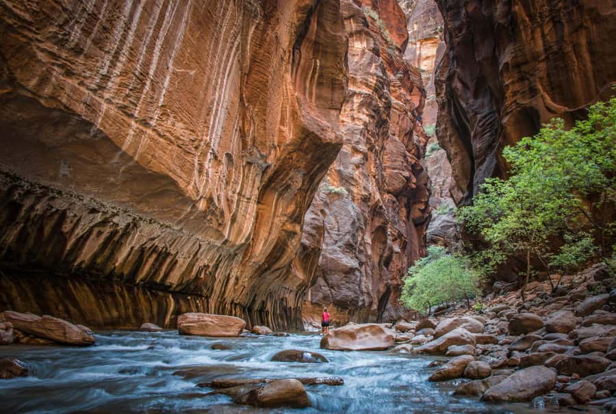 From Las Vegas: Zion National Park Day Trip - Pickup from the Strip and the ride south