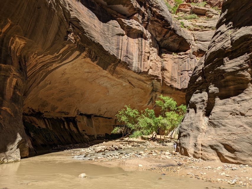 From Las Vegas: Zion National Park Small Group Adventure - Entering Zion through the Mount Carmel side