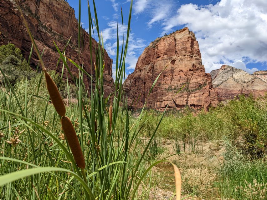 From Las Vegas: Zion National Park Small Group Adventure - The Narrows and Emerald Pools