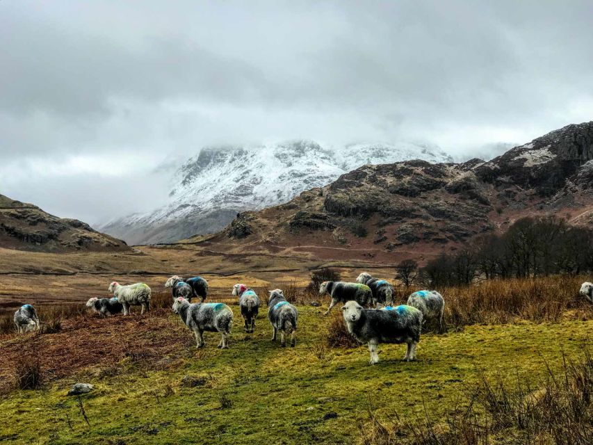 From Liverpool: Lake District Sightseeing Adventure Day Trip - Grasmere, Wordsworth, and gingerbread