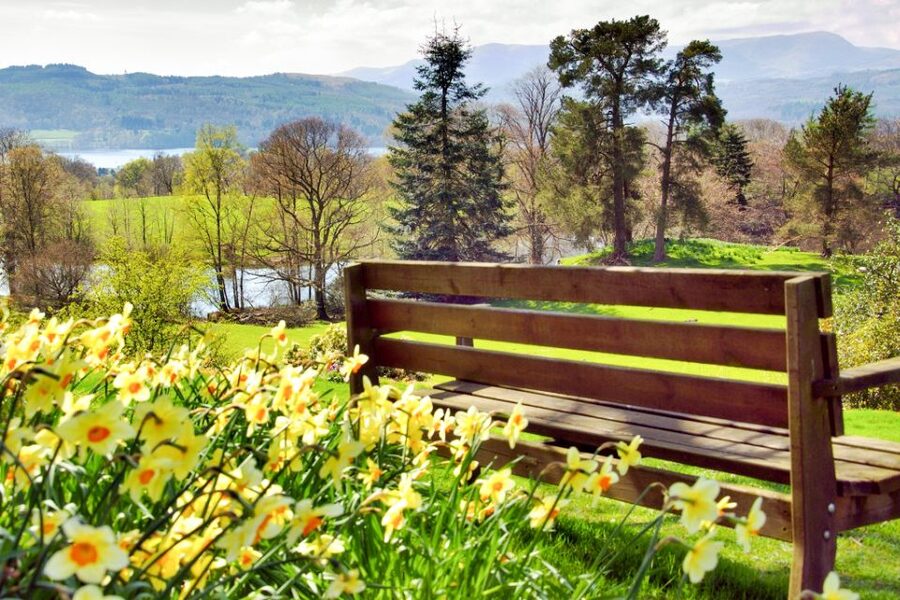 From London: Lake District Tour with Cream Tea & Cruise - The Langdale Valley and the Lakeland Fells