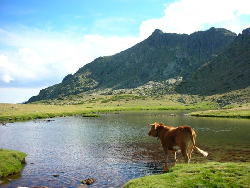 From Madrid: Day Trip to Guadarrama National Park - Why Guadarrama makes a strong Madrid escape
