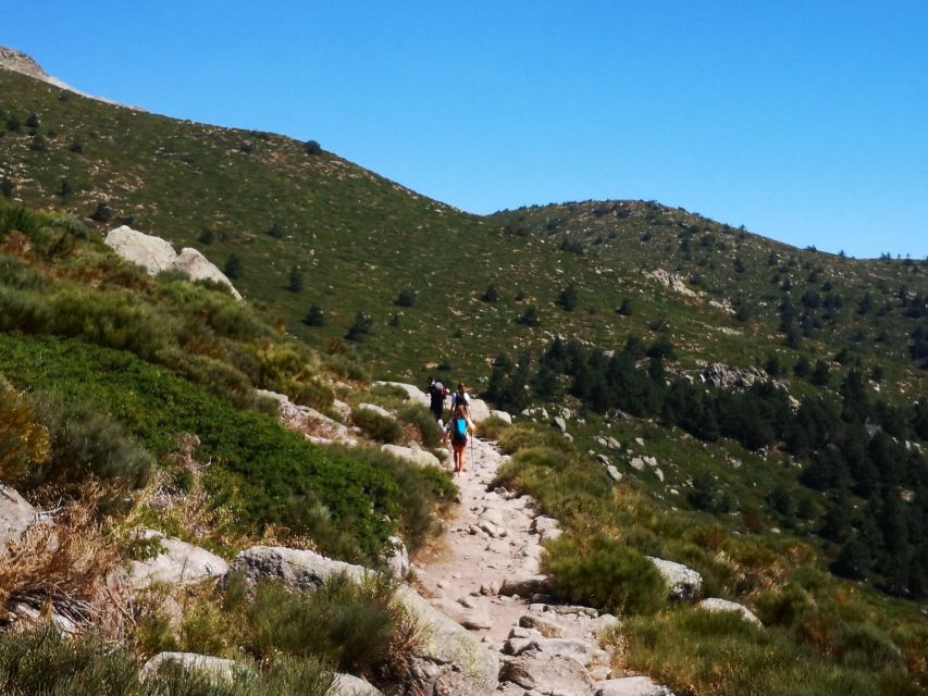 From Madrid: Day Trip to Guadarrama National Park - What the guides add