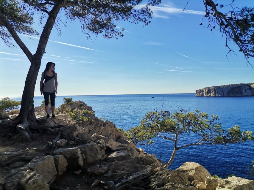 From Marseille: Calanques National Park Guided Hike - Walking through pine, rosemary, and limestone