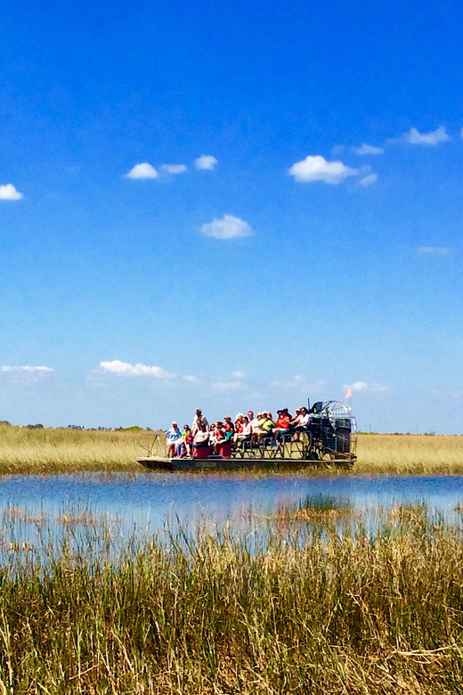 From Miami: Everglades Airboat Alligator Tour with Transfer - Key points at a glance