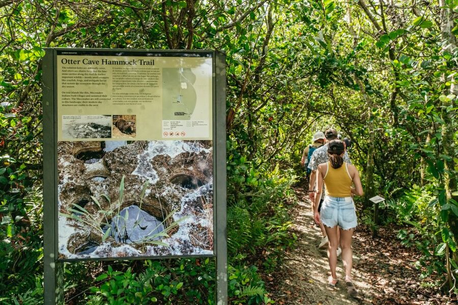 From Miami: Everglades Airboat Ride and Nature Walk - Practical details before you reserve