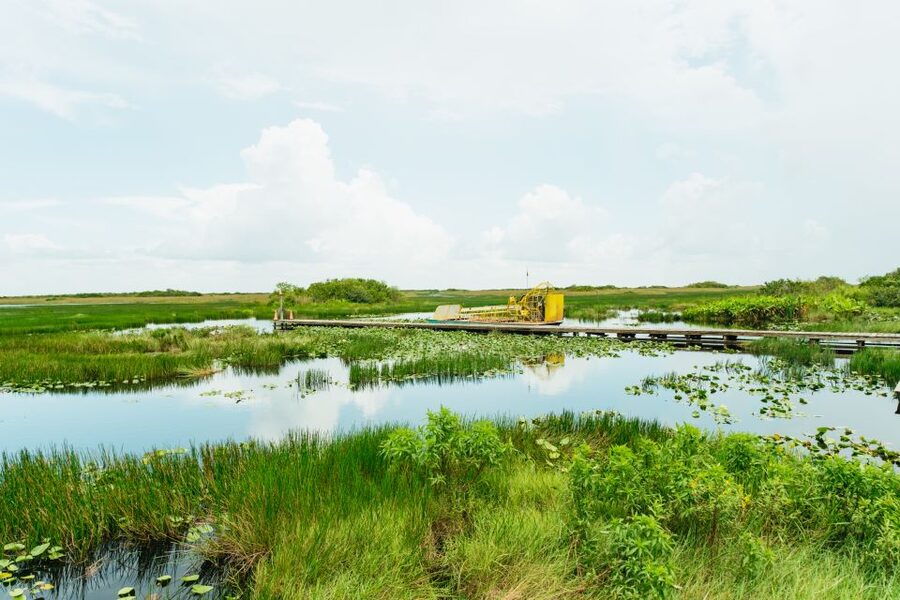 From Miami: Everglades Airboat Ride and Nature Walk - Why this tour gives you more than an airboat ride