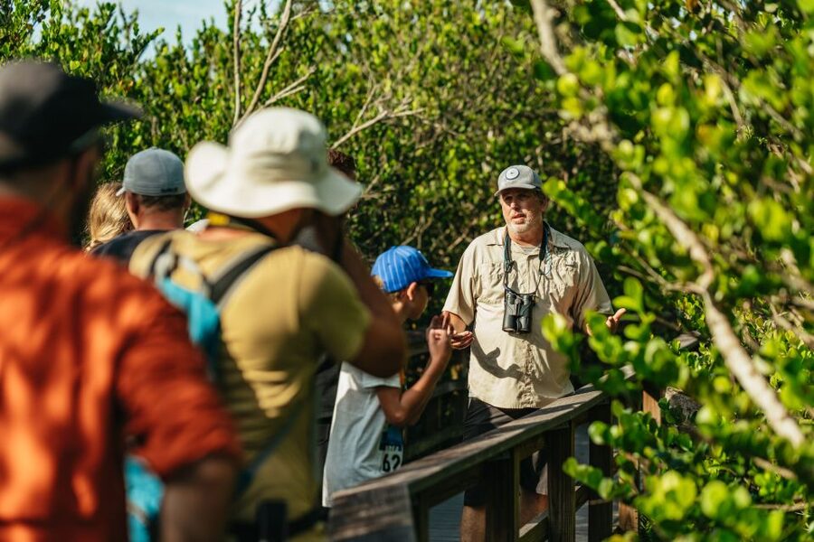 From Miami: Everglades Airboat Ride and Nature Walk - Walking through a tropical hardwood hammock