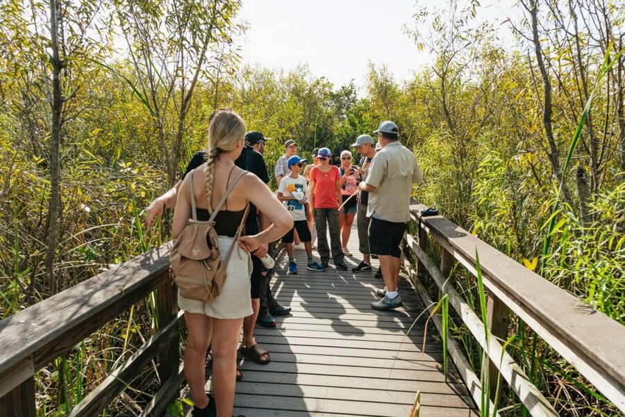 From Miami: Everglades Airboat Ride and Nature Walk - Snacks, drinks, and a break in the heat