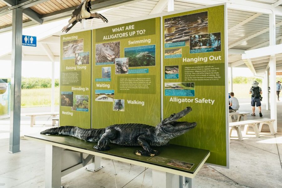 From Miami: Everglades Airboat Ride and Nature Walk - Is $189 a fair price?