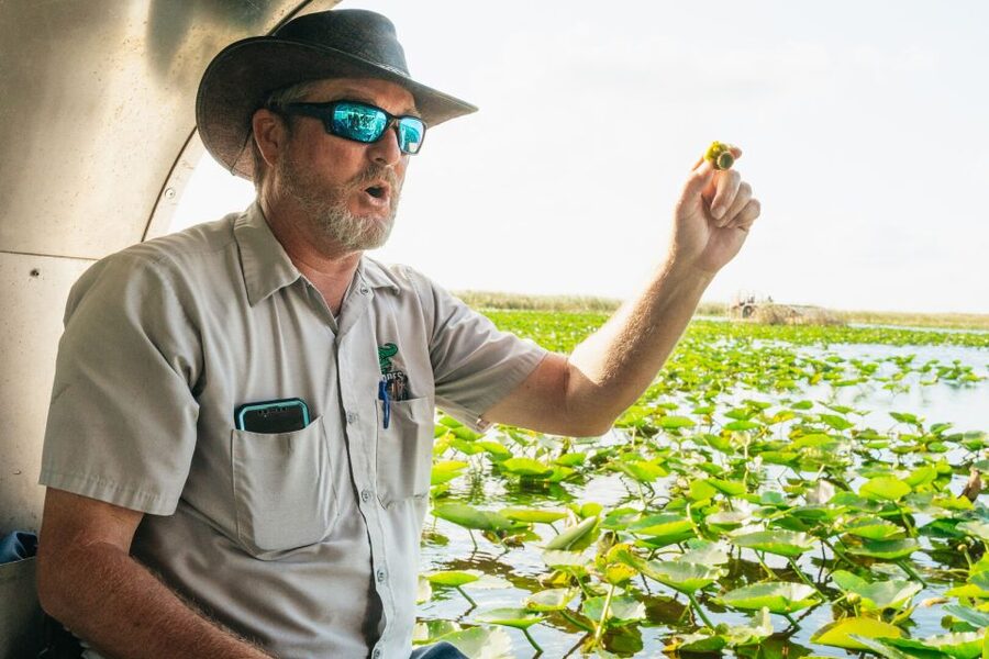 From Miami: Everglades Airboat, Wildlife Show & Bus Transfer - What the wildlife show adds